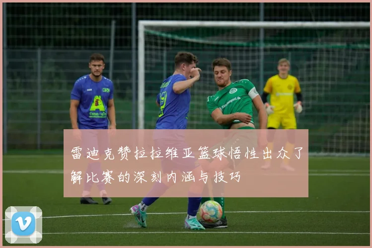 雷迪克赞拉拉维亚篮球悟性出众了解比赛的深刻内涵与技巧