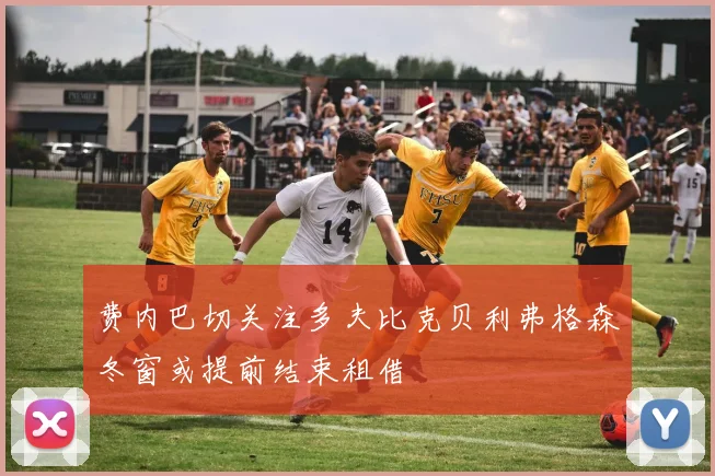 费内巴切关注多夫比克贝利弗格森冬窗或提前结束租借