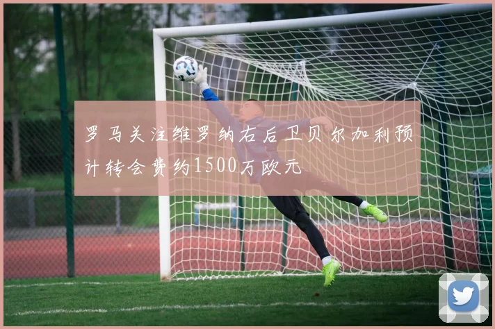 罗马关注维罗纳右后卫贝尔加利预计转会费约1500万欧元