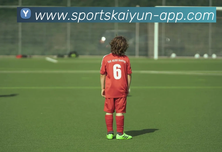 开云体育APP 封面图