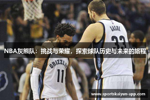 NBA灰熊队：挑战与荣耀，探索球队历史与未来的旅程