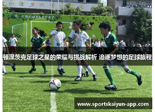 顿涅茨克足球之星的荣耀与挑战解析 追逐梦想的足球旅程